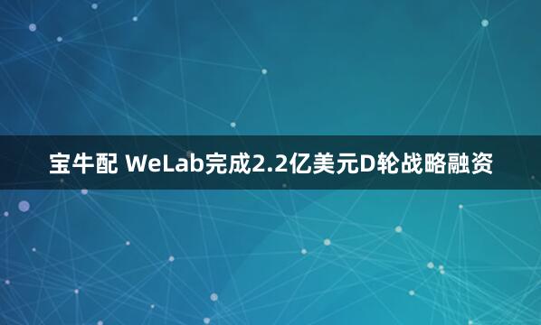 宝牛配 WeLab完成2.2亿美元D轮战略融资